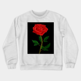 American Beauty Crewneck Sweatshirt